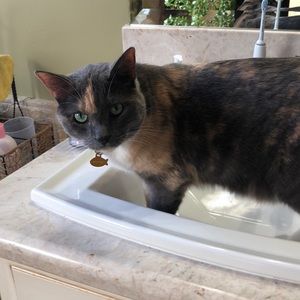 Meet your Posher, Christy